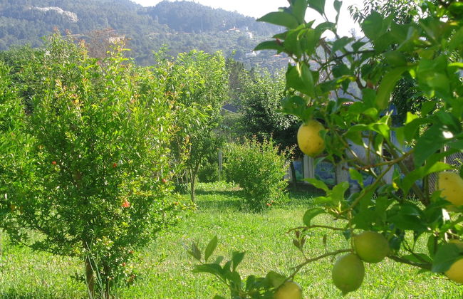 Bernardes House - Foto 11