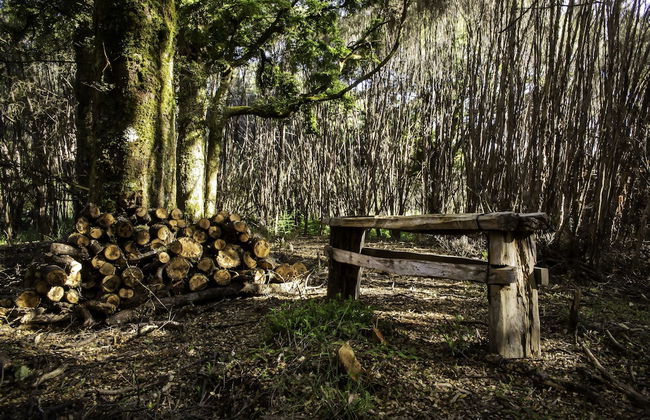 Night Sky Cottage - Foto 24