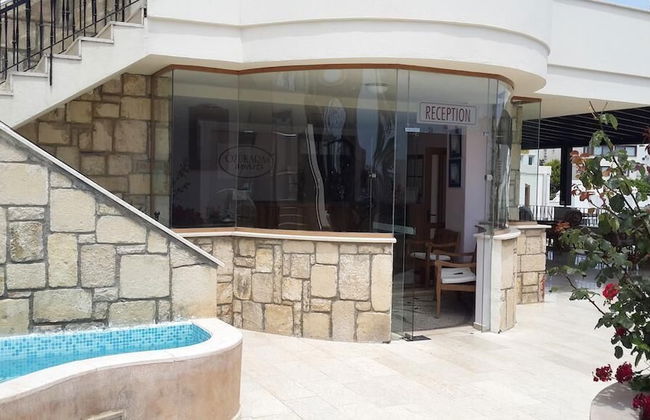 Zera Bodrum - Photo 2