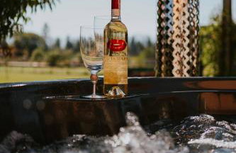 Tatra House z Jacuzzi - Foto 1