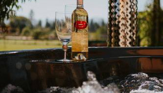 Tatra House z Jacuzzi - Foto 1