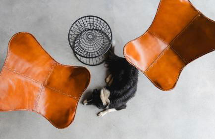 TerraSense Mountain Charm Retreat & Farm - Foto 68