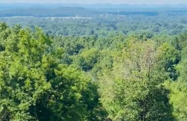 Luxury Mtn Log Home- Sevier Lodge at May Ridge - Foto 12