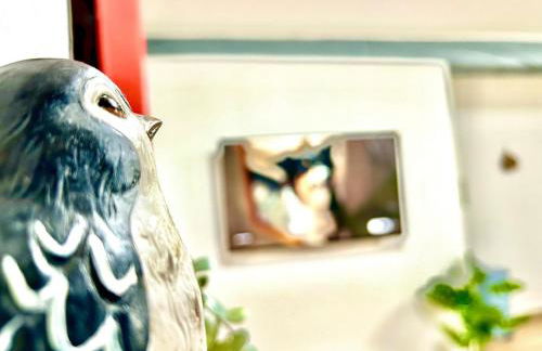 L'Envolée, centre ville parking gratuit - Foto 31