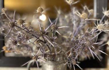 Kamara 1873 Sirrako - Photo 12