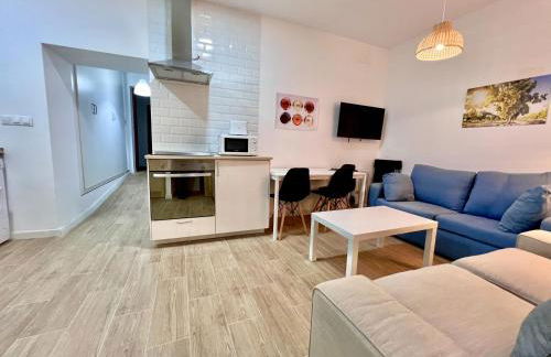 Apartamentos La Albariza Jerez Centro - Foto 41