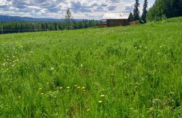 Secluded Log Cabin, 30 min from Chena Hot Springs - Foto 4