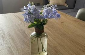 Ampio appartamento centro storico - Photo 14