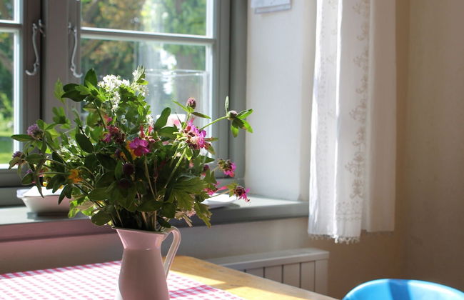 Ferienwohnung in Steffenshagen mit Garten - Foto 20