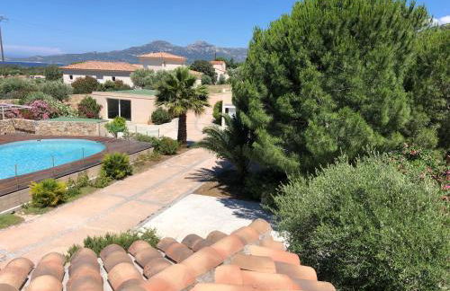 Manureva Calvi - Foto 4