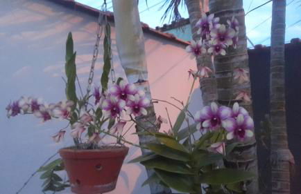 Casa com piscina de 2 dormitórios - Foto 8