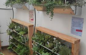 Pura Vida Alentejo by Portus Alacer - Foto 13