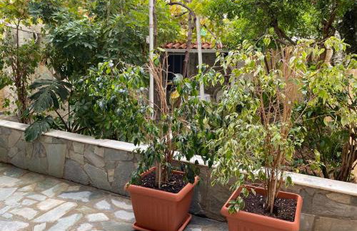 Garden View Apartment - Foto 34