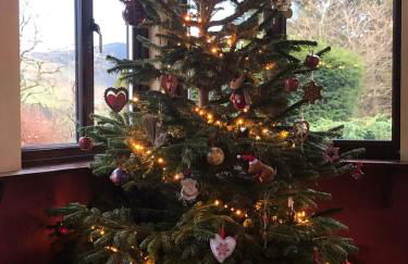 Detached cottage in the hills near Dolgellau - Foto 38