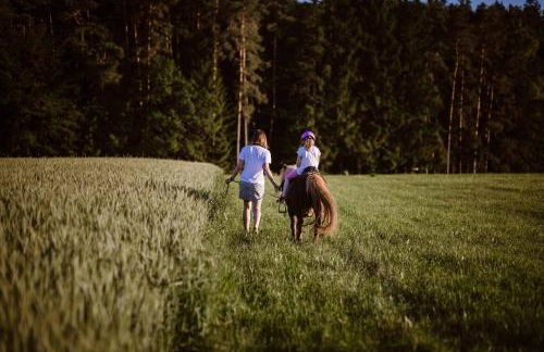Stixenhof - Ferienwohnung Heidi Nehmeier - Foto 15