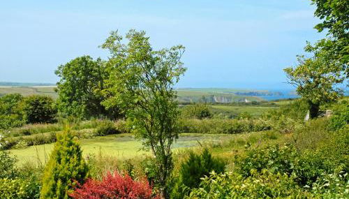 Llys Isaf - Foto 3, Garden