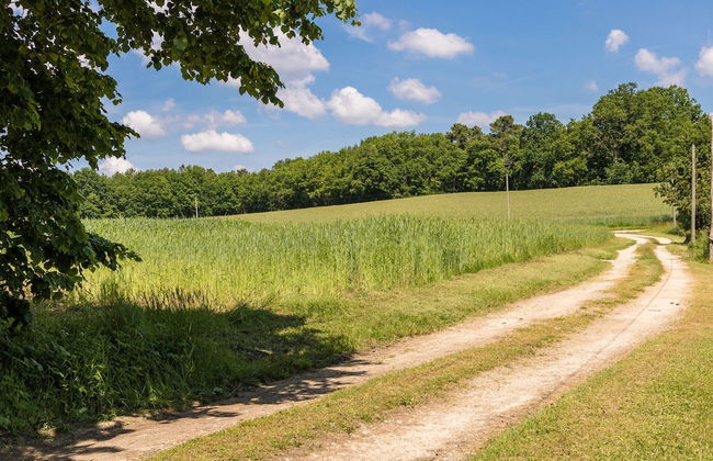 Beautiful Property With Three Houses, Three Swimming Pools, and Magnificent Views - Foto 39