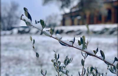 Podere Mazzarelle - Foto 60