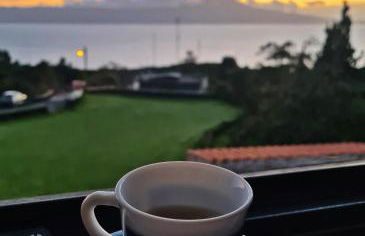 Lucy's Rosegarden - Photo 19