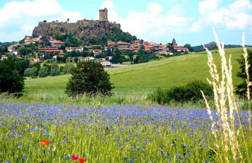 Évasion au cœur de Polignac : Charme et confort à deux pas du Puy-en-Velay - FR-1-582-382 - Foto 17