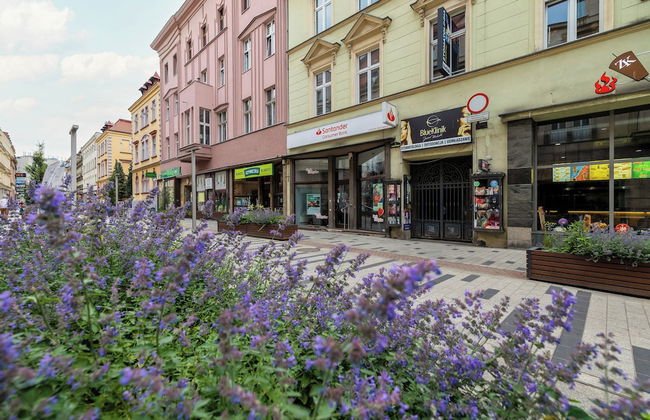 Noble Green Bytom Apartment by Renters - Foto 20