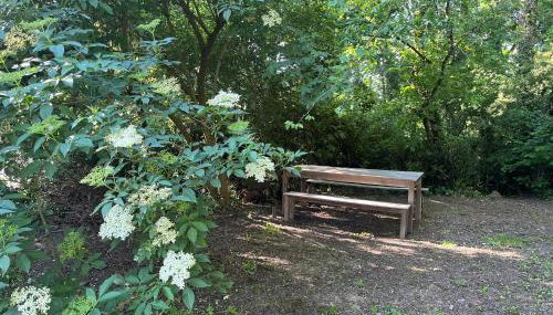 Maison de campagne - Photo 4