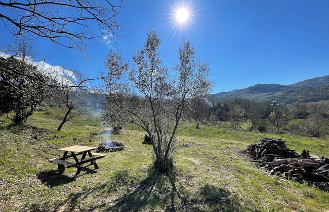 Agriturismo Tre Casali - Foto 12