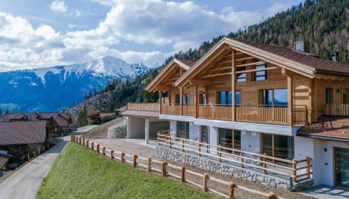 Chalets Hansleitner - Foto 1