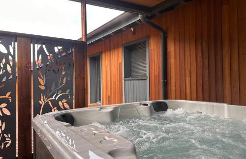 chalet zélcova avec spa à Gérardmer - Foto 37