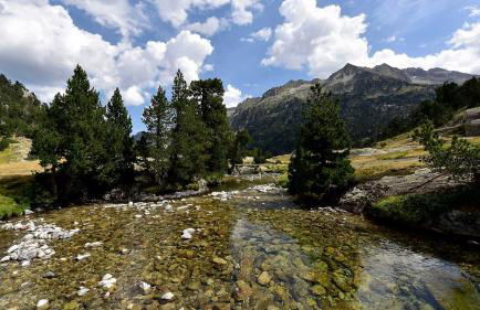 Gîte chalet la Bergerie de Sentantony - Val d'Azun - Montagne Pyrénées - Photo 40