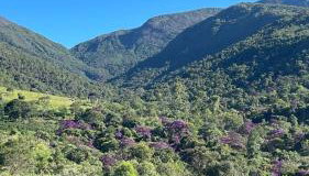 Refúgio do ipê - Foto 2