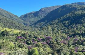 Refúgio do ipê - Foto 2