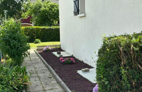 Les Mimosas - Jardin clos - Foto 16