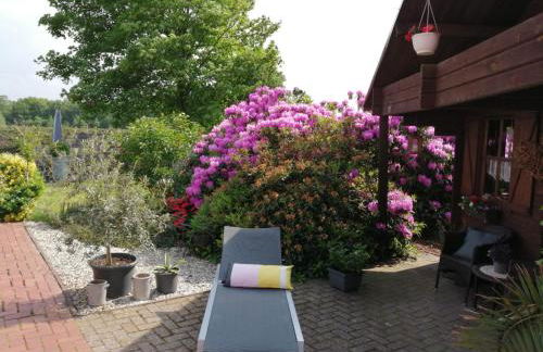 Landambiente Hage - Foto 13