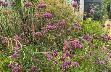 Atelier de Pfalz-Loftstyl mit Pfalzblick - Foto 51