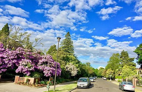 Walker's Paradise 1 with 2 free parking lots - Foto 59