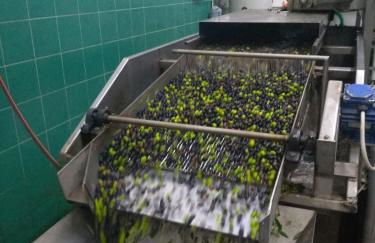 Casa Ambrogi Stefano - Photo 64