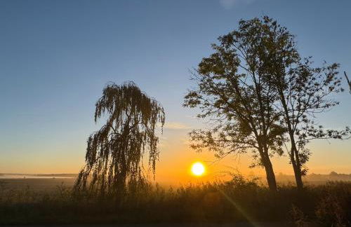 ECOVILLA - Natur pur - Foto 49