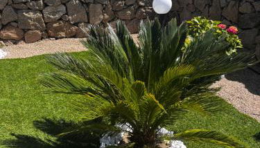 La casa di Veronica - Photo 3