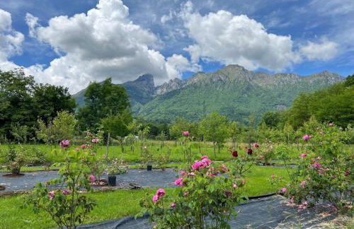 Casetta dipinta Fattoria dei fiori - Photo 61