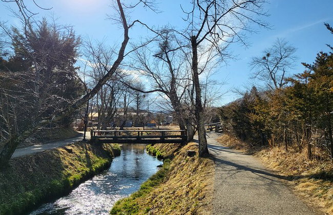 Tour privato in auto al Monte Fuji da Tokyo - Foto 9