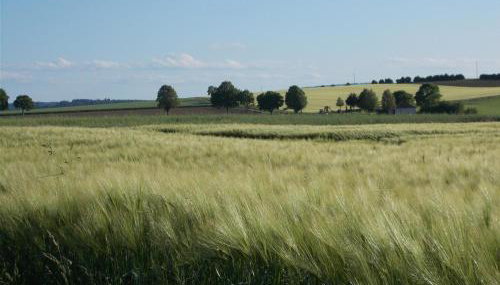 Natur Und Ruhe - Für Ruhe Suchende - Foto 1