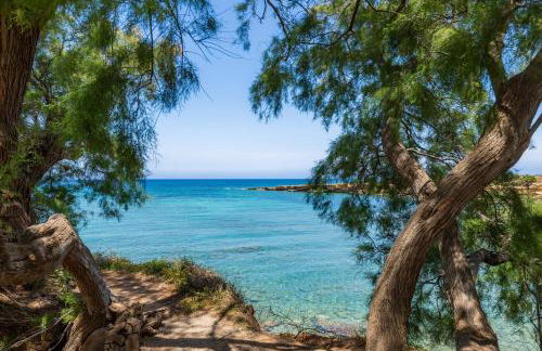 Finca Ses Figueres - Foto 41