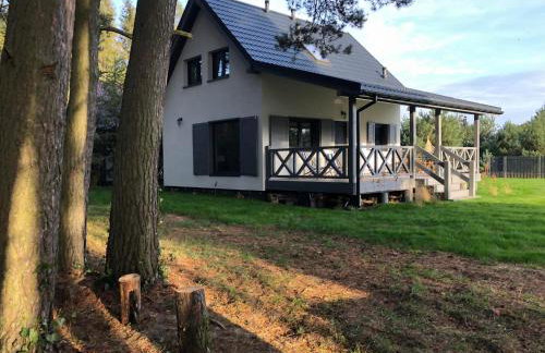 Młyńska Chata - drewniany, całoroczny dom w sosnowym lesie - Foto 1