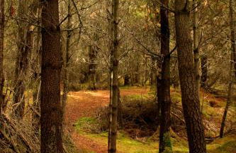 Craiglea Lodge - Foto 27