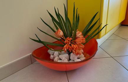 Sea Colors Apartment - Photo 3