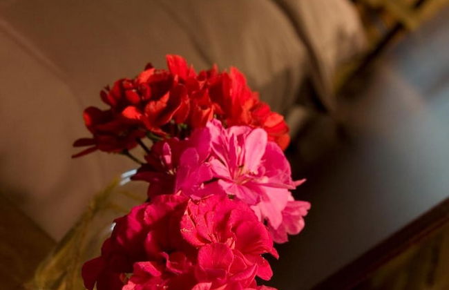 Cascina Marcantonio - Photo 49