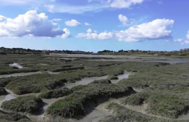 Ker Augustine Maison de pecheur 3 étoiles Clévacances - Foto 34