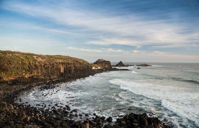 Phillip Island Private Day Trip - Photo 5