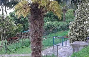 Vanni's House - Foto 34